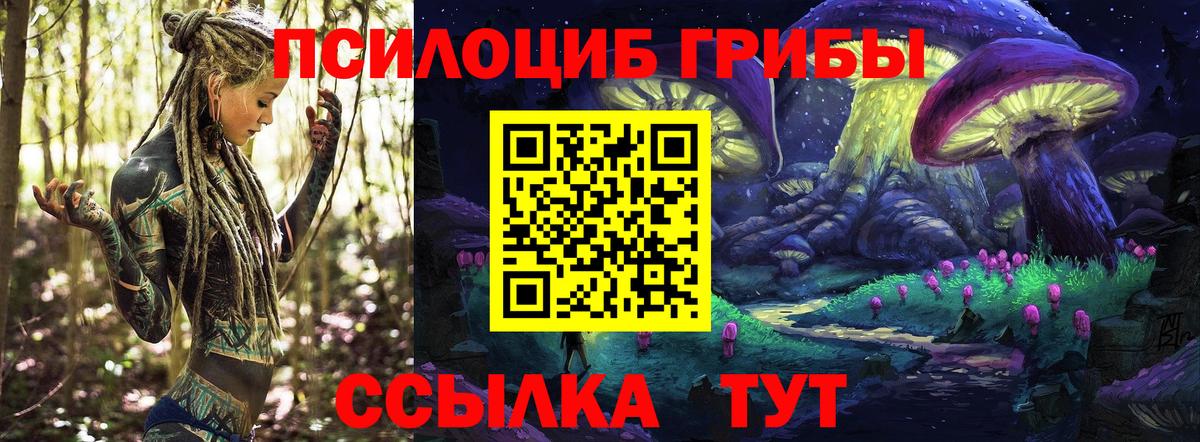 Галлюциногенные грибы мицелий  Вход с VPN  Елец 